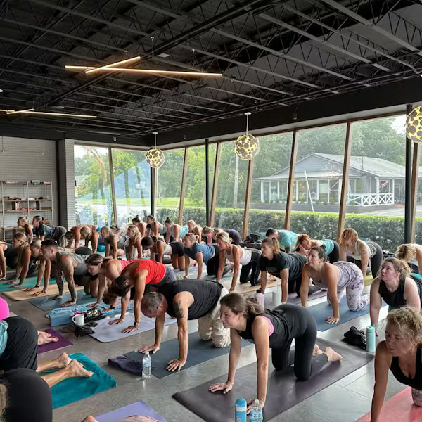 Bend & Brew – Donations Based Yoga Class with Centred on Yoga