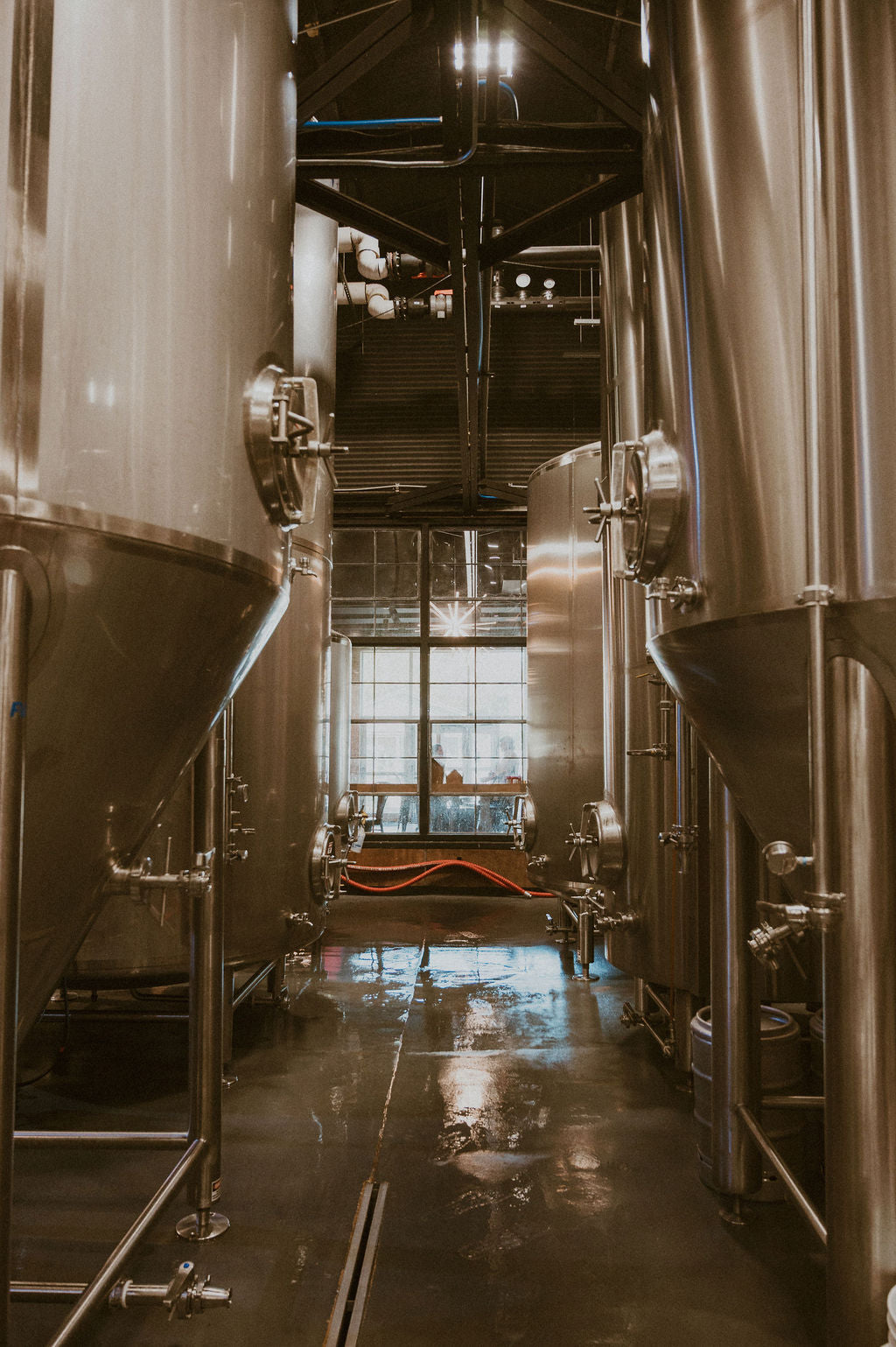 Brewery Tours